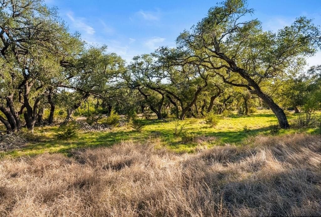 3,235 acres in Hays County - photo 78