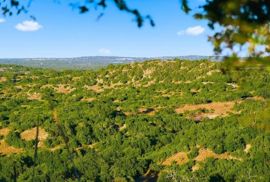 3,235 acres in Hays County - photo 54