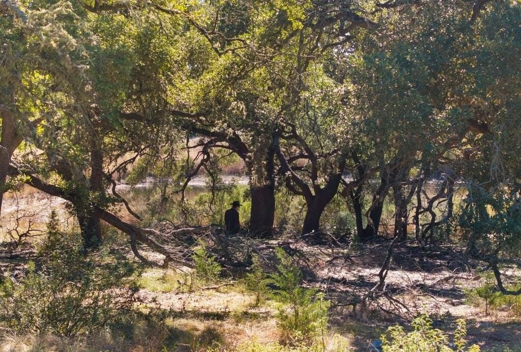 3,235 acres in Hays County - photo 41