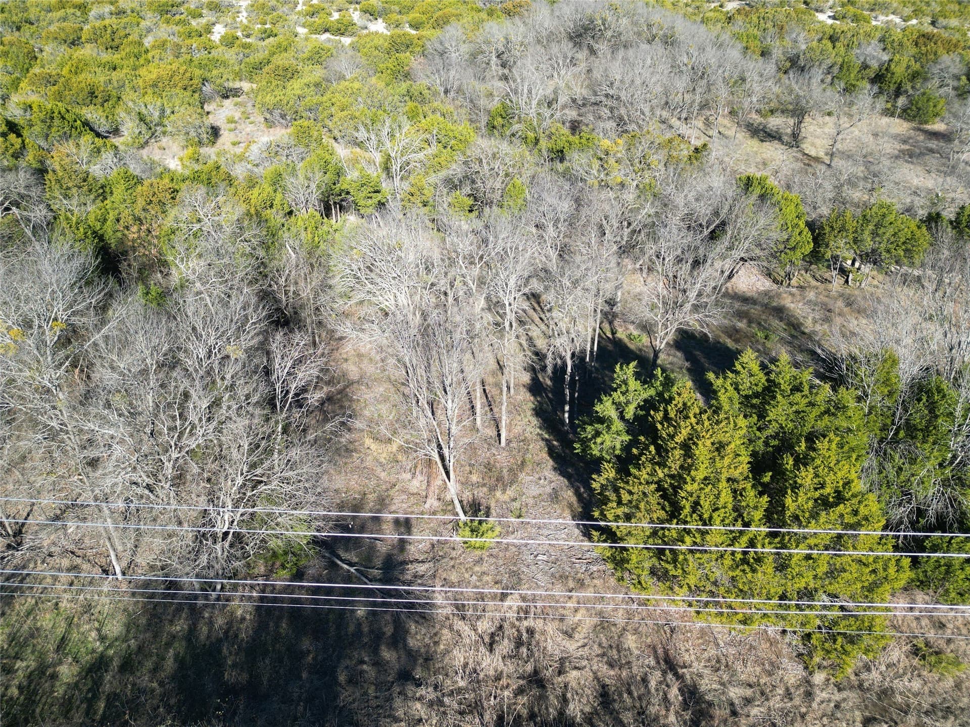 2 acres in Hood County gallery image 2
