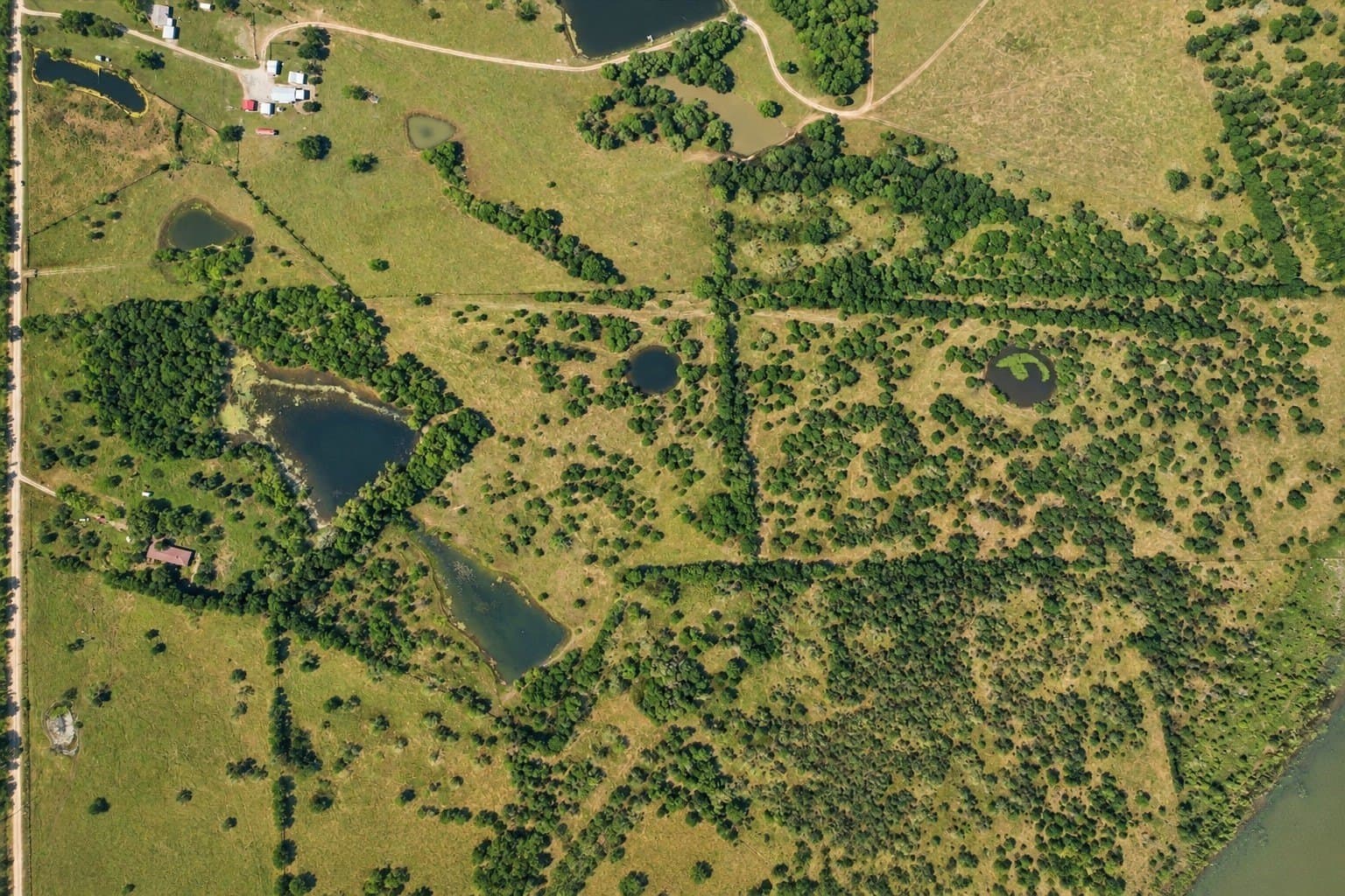 30.01 acres in Navarro County - photo 9