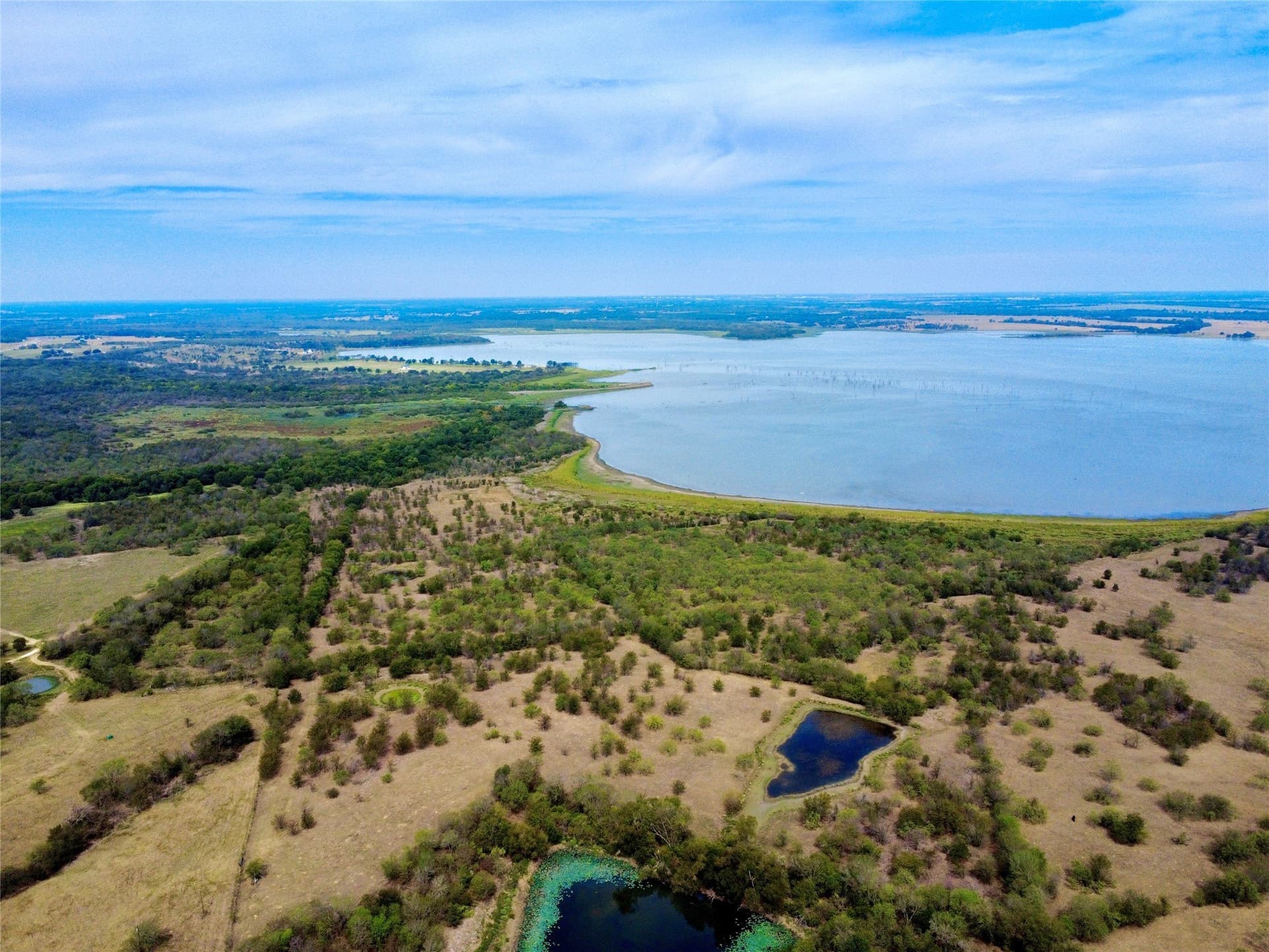 30.01 acres in Navarro County - photo 6