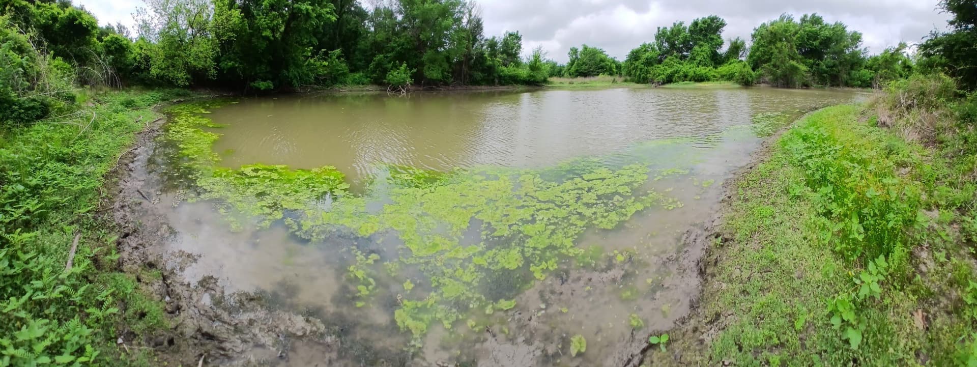 71.46 acres in Hill County - photo 9