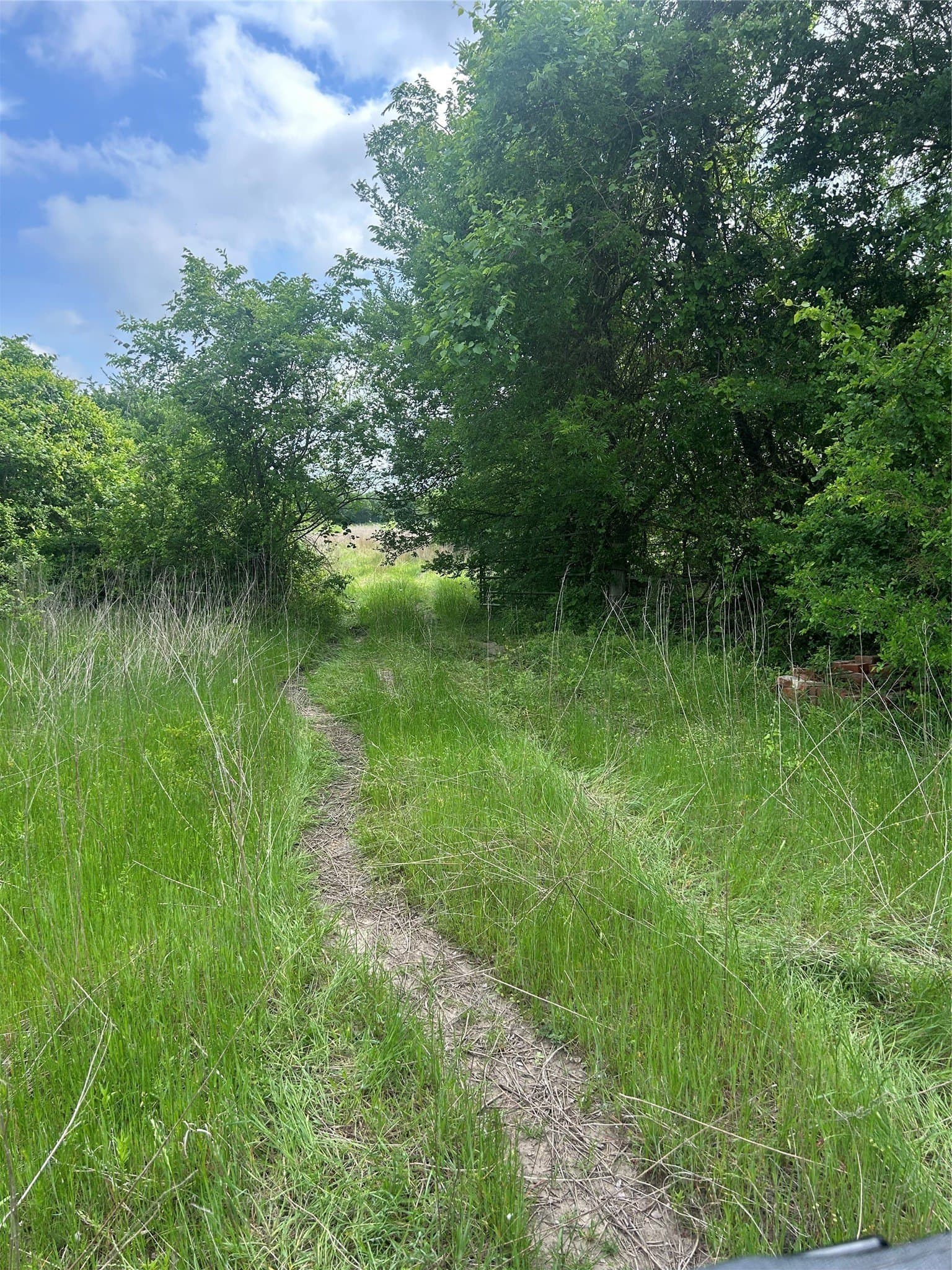 71.46 acres in Hill County - photo 12