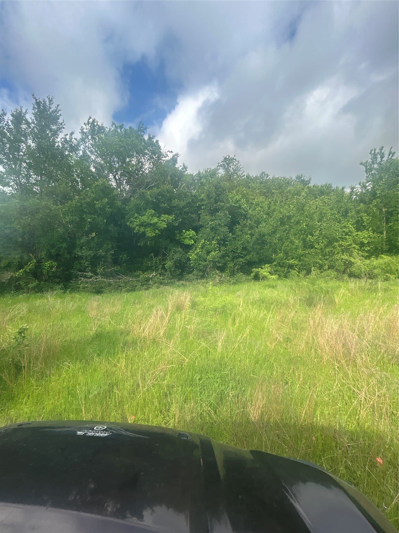 71.46 acres in Hill County - photo 18
