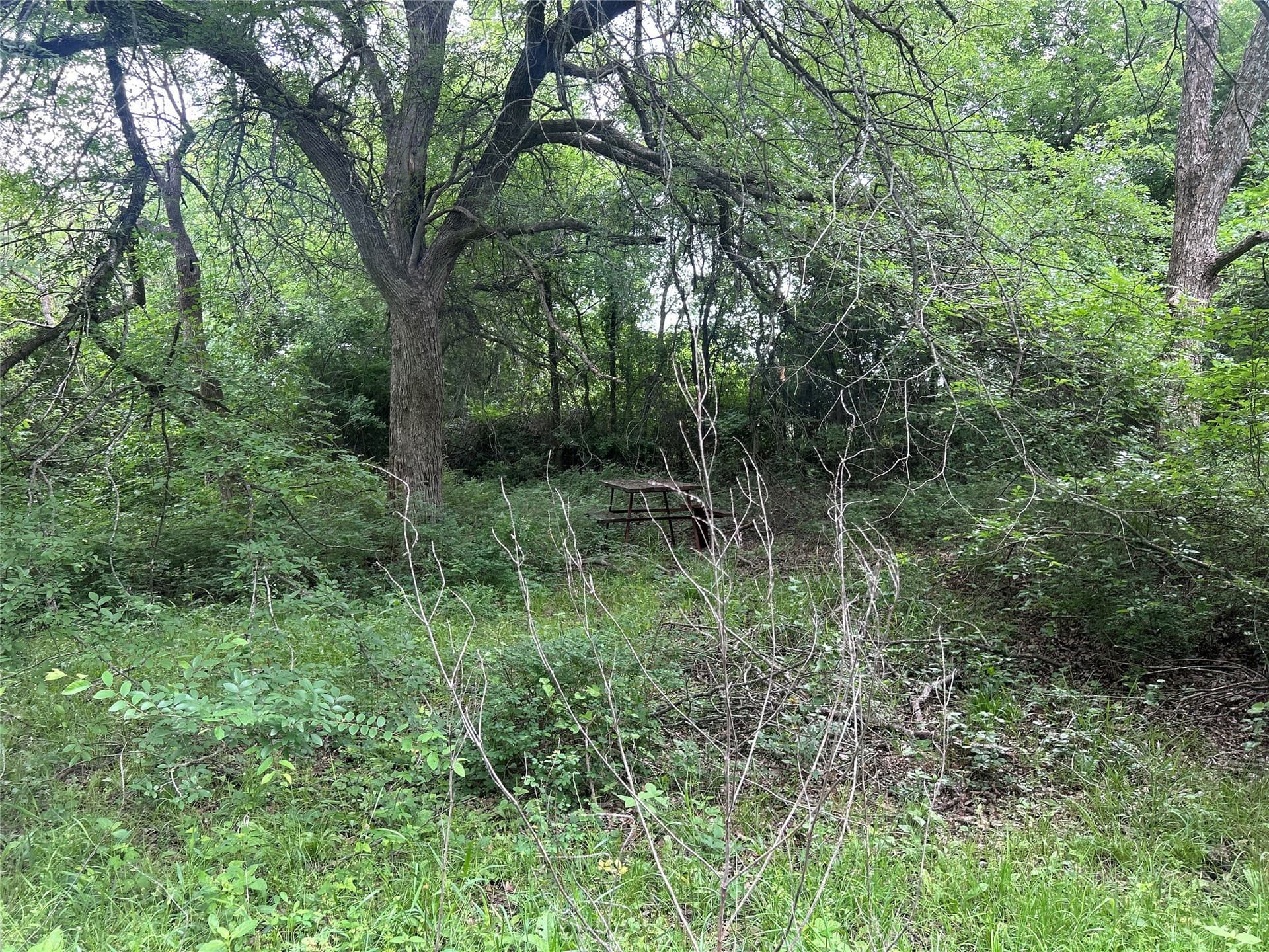 71.46 acres in Hill County - photo 16