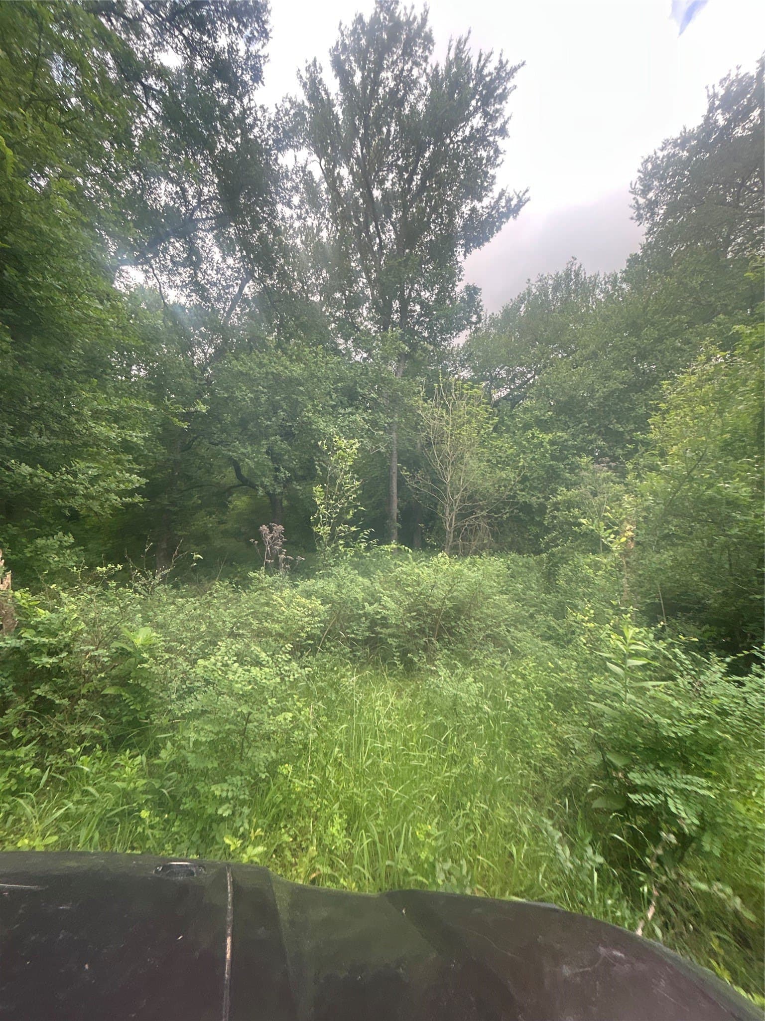 71.46 acres in Hill County - photo 14