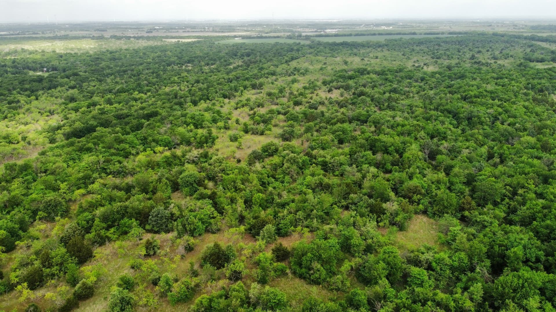 71.46 acres in Hill County - photo 11