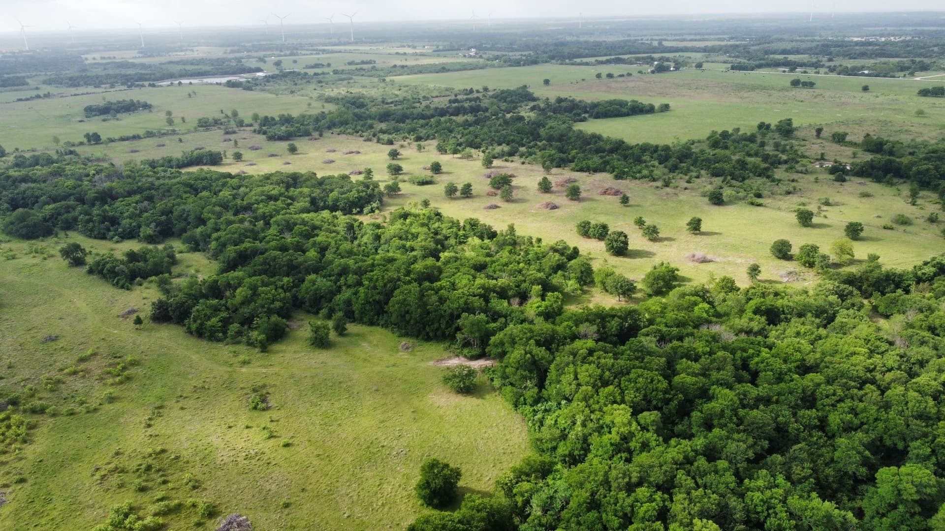 71.46 acres in Hill County - photo 6
