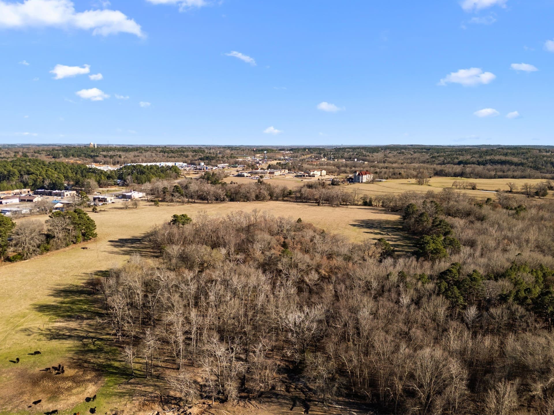 114 acres in Smith County - photo 3