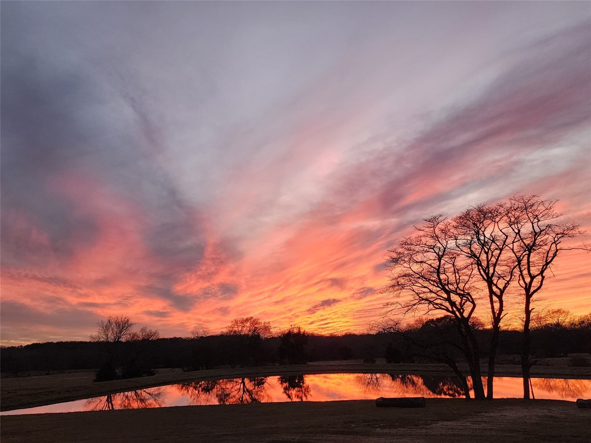 97.21 acres in Hopkins County - photo 5