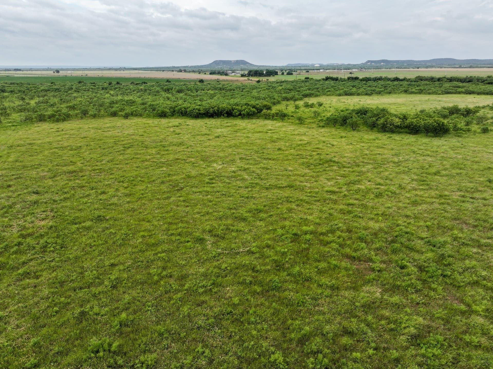 1.5 acres in Taylor County - photo 4