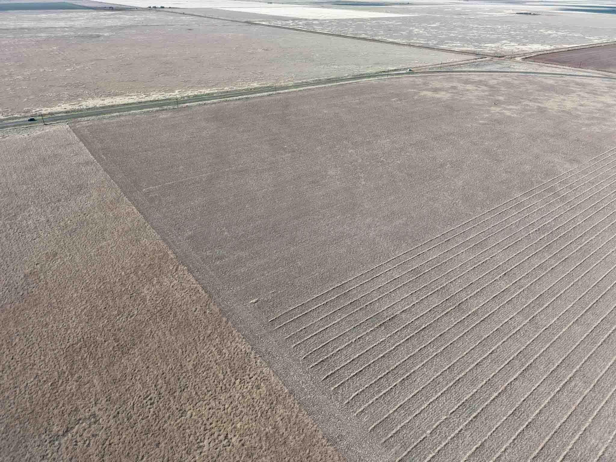 10 acres in Randall County featured view