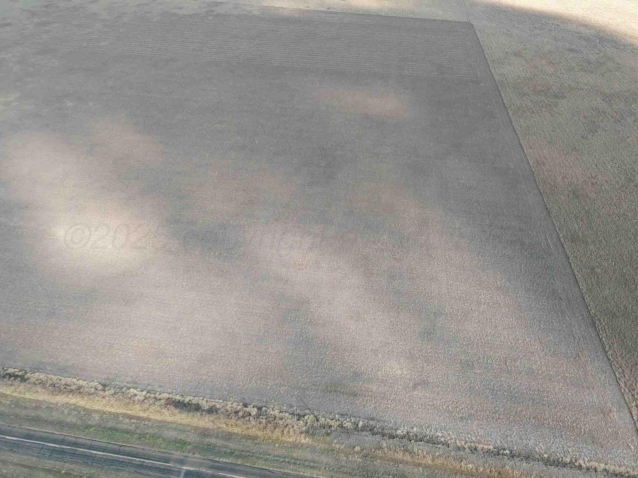 10 acres in Randall County gallery image 4