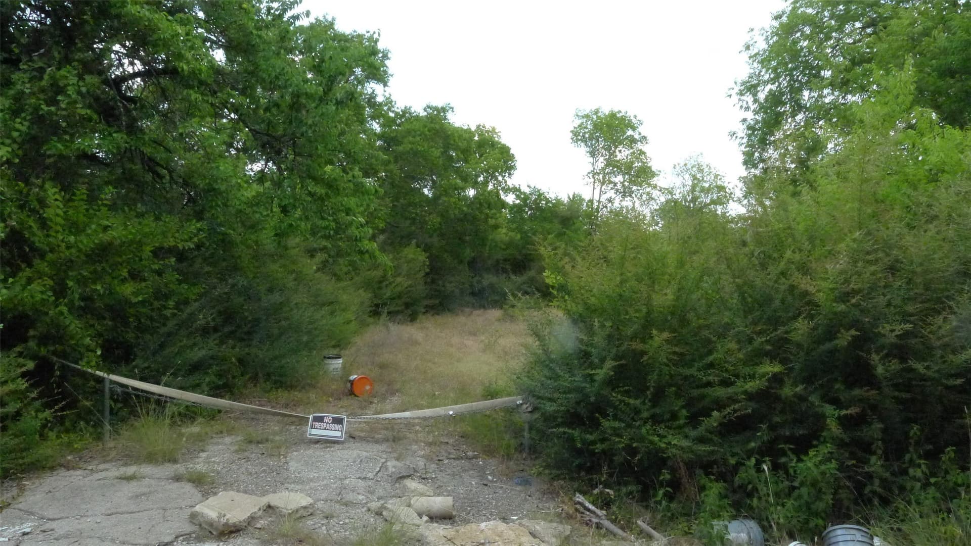 6 acres in Dallas County gallery image 2