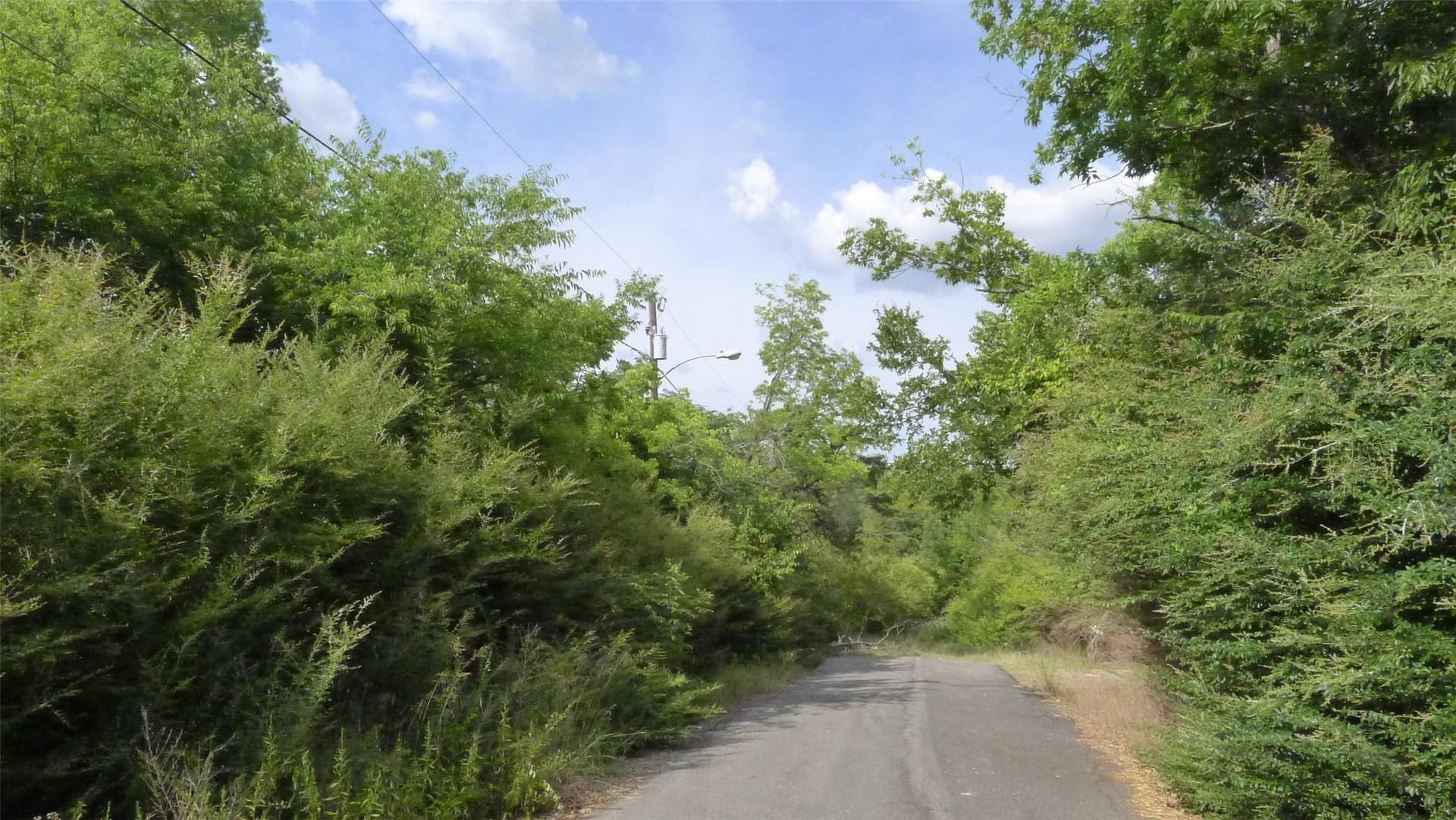 6 acres in Dallas County - photo 6