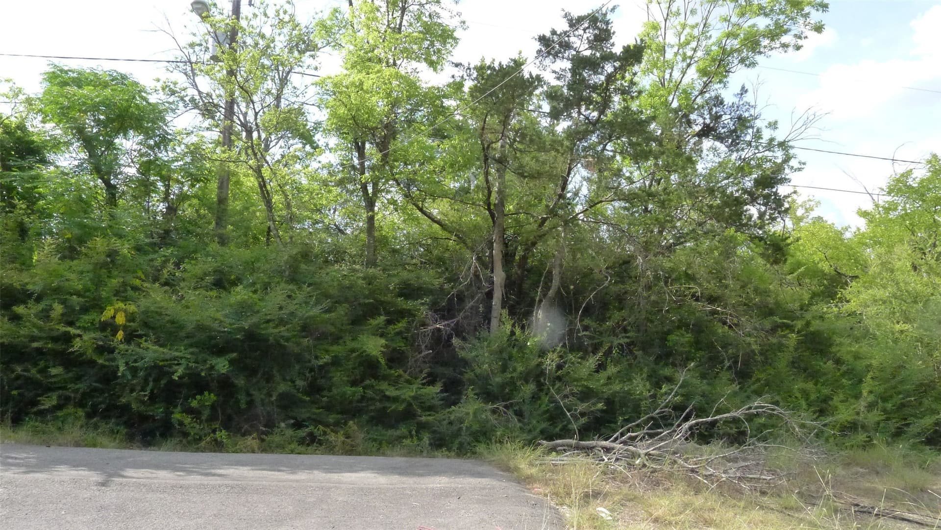 6 acres in Dallas County gallery image 4