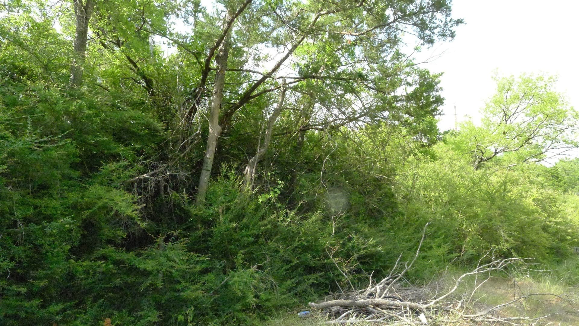 6 acres in Dallas County featured view
