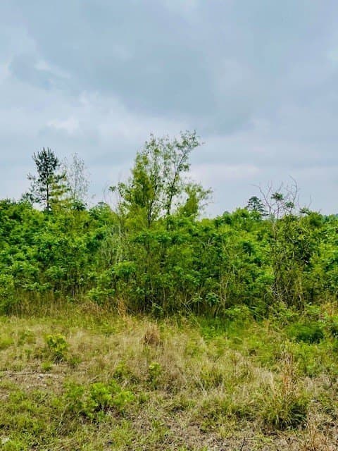 23.67 acres in Wood County - photo 23