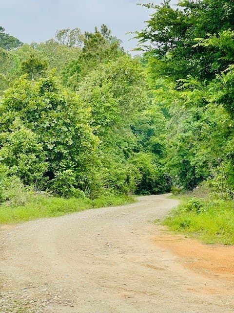 23.67 acres in Wood County gallery image 2