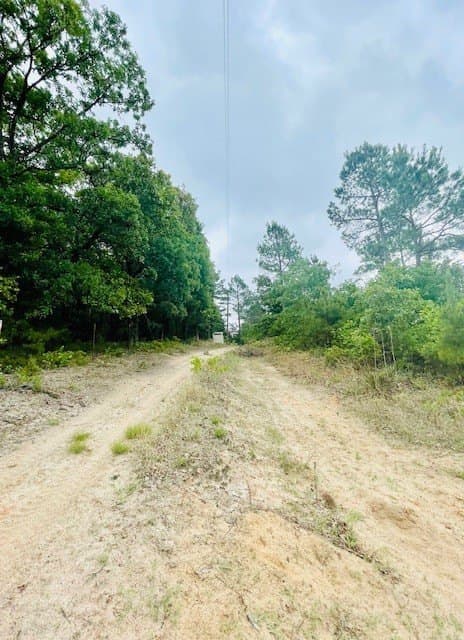 23.67 acres in Wood County - photo 31