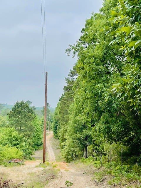 23.67 acres in Wood County - photo 34