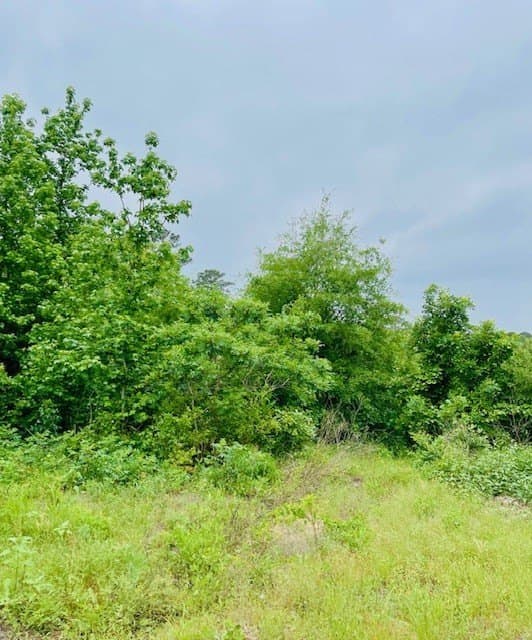 23.67 acres in Wood County - photo 21