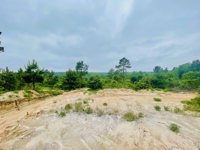 23.67 acres in Wood County - photo 35