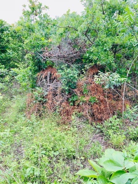 23.67 acres in Wood County - photo 28