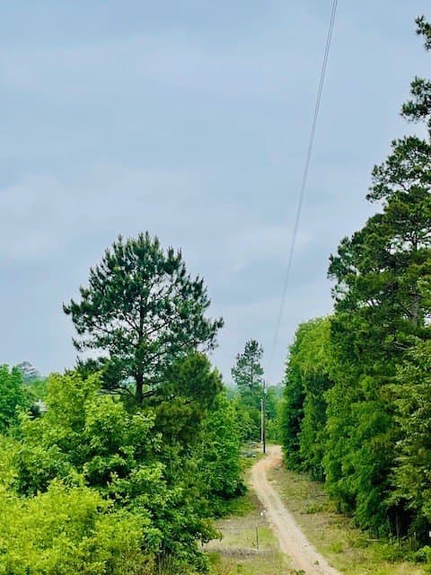 23.67 acres in Wood County - photo 32