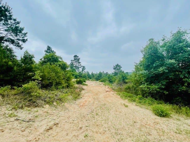 23.67 acres in Wood County - photo 22
