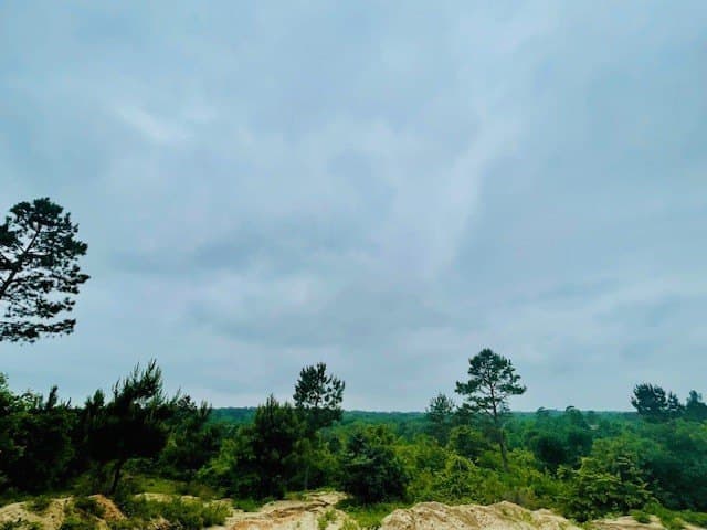 23.67 acres in Wood County - photo 33