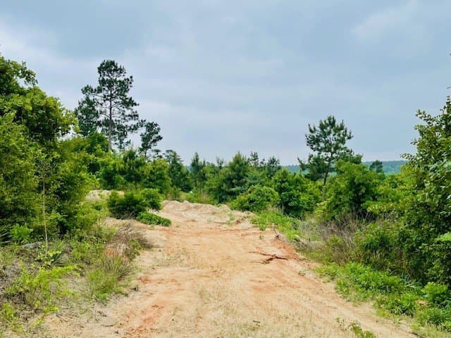 23.67 acres in Wood County - photo 30