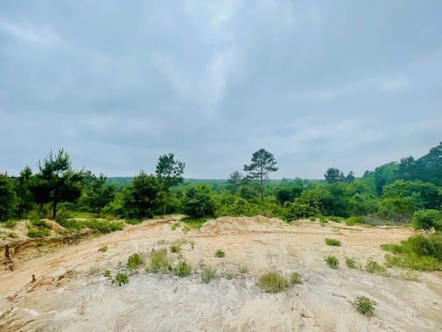 23.67 acres in Wood County - photo 29