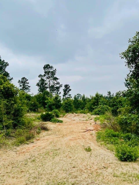 23.67 acres in Wood County - photo 24