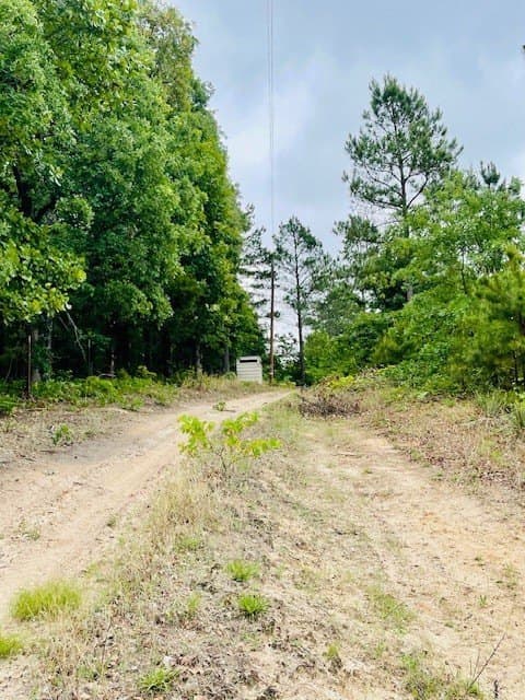 23.67 acres in Wood County - photo 27