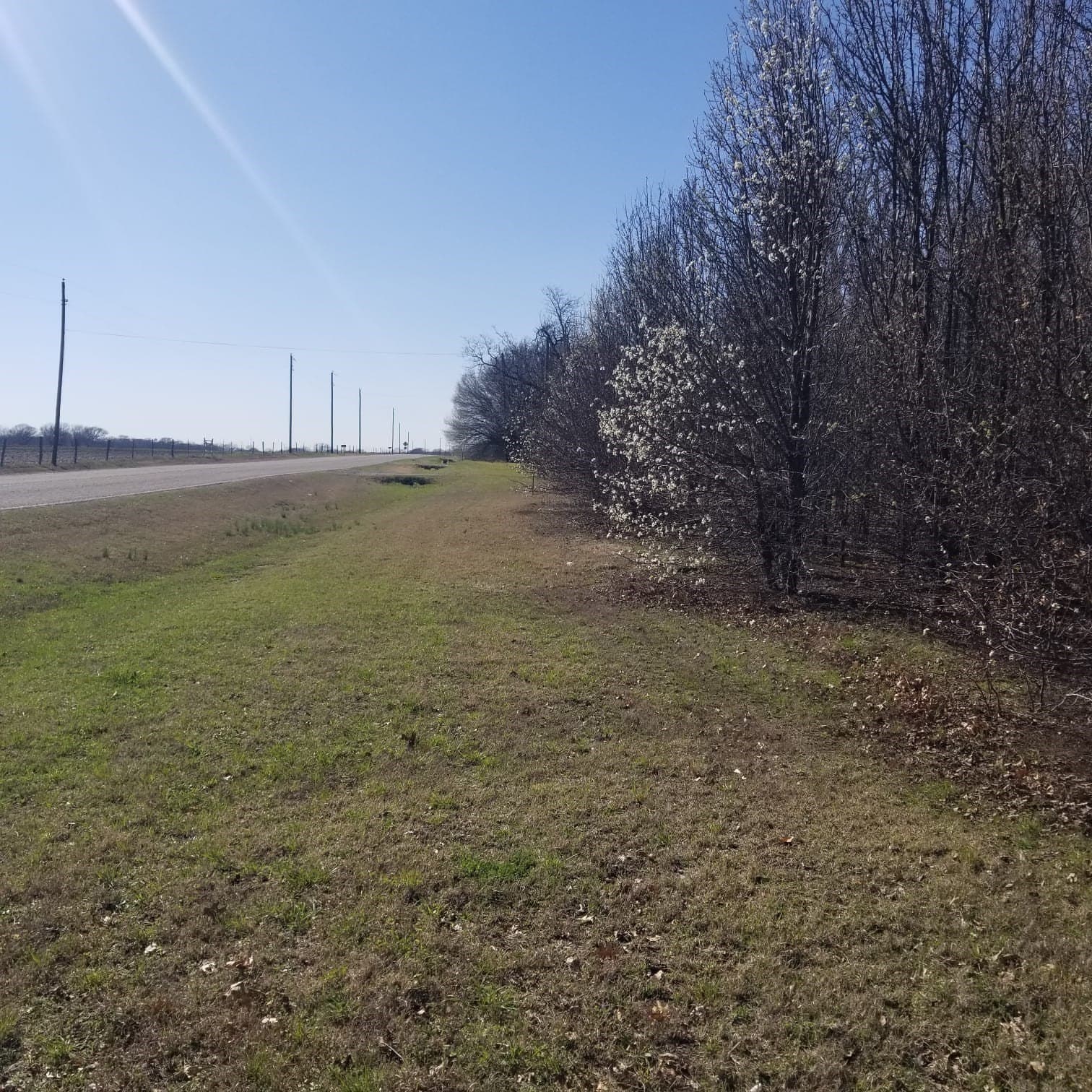 11 acres in Grayson County gallery image 2
