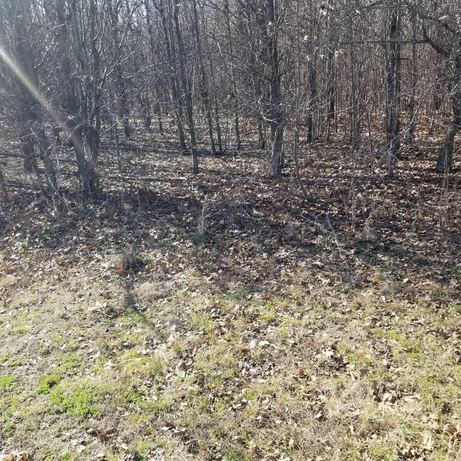 11 acres in Grayson County - photo 7