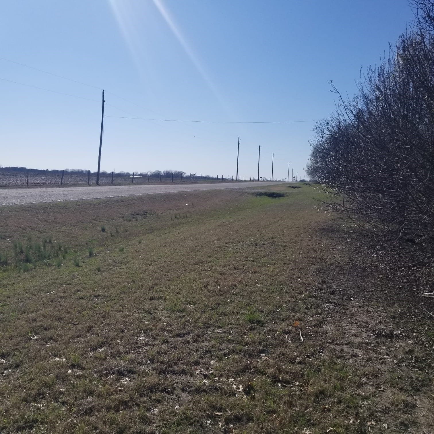 11 acres in Grayson County gallery image 3