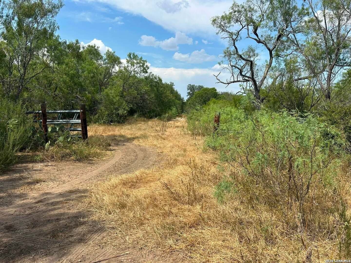 41.44 acres in Atascosa County - photo 2