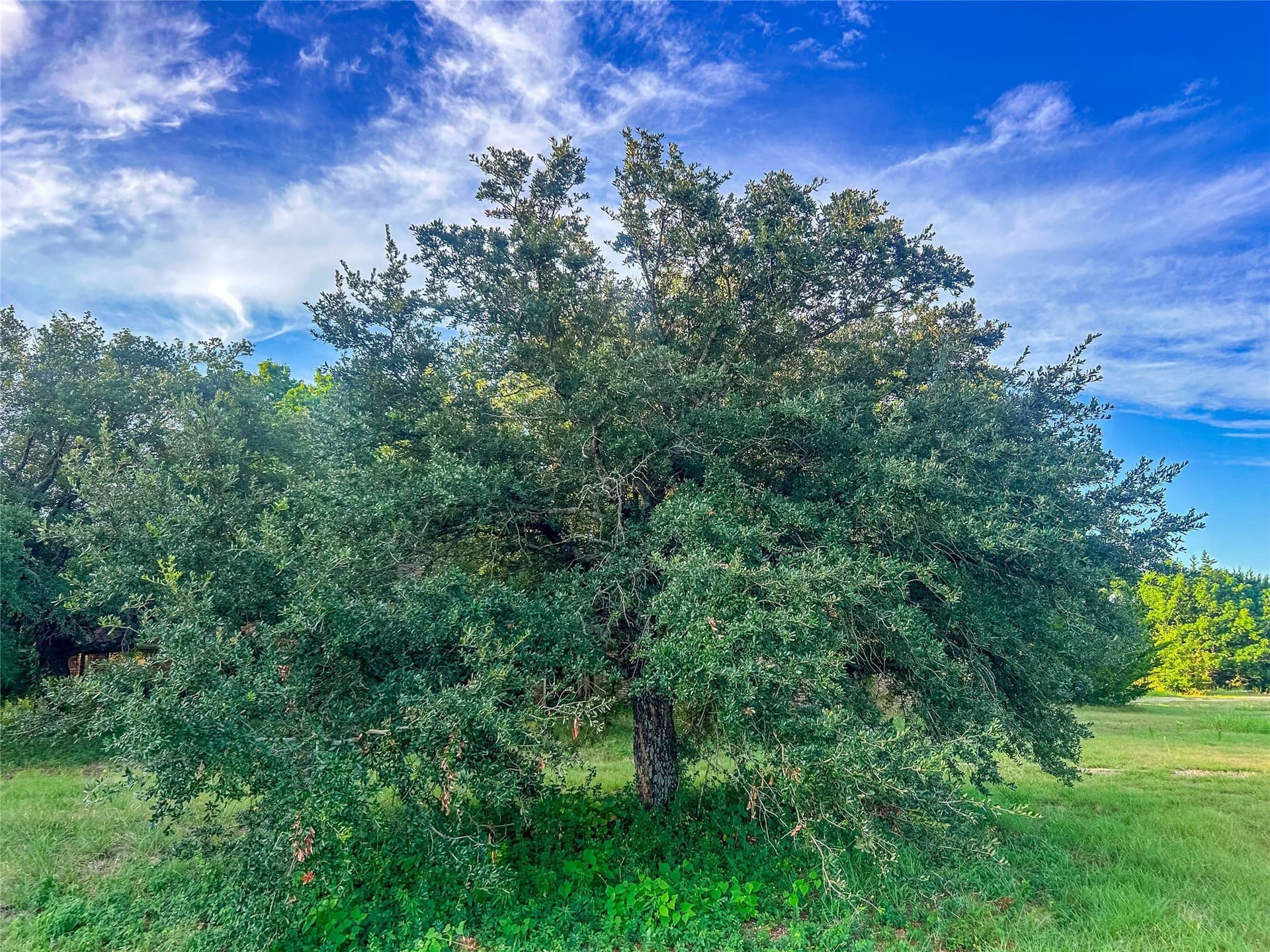 10.16 acres in Collin County - photo 21