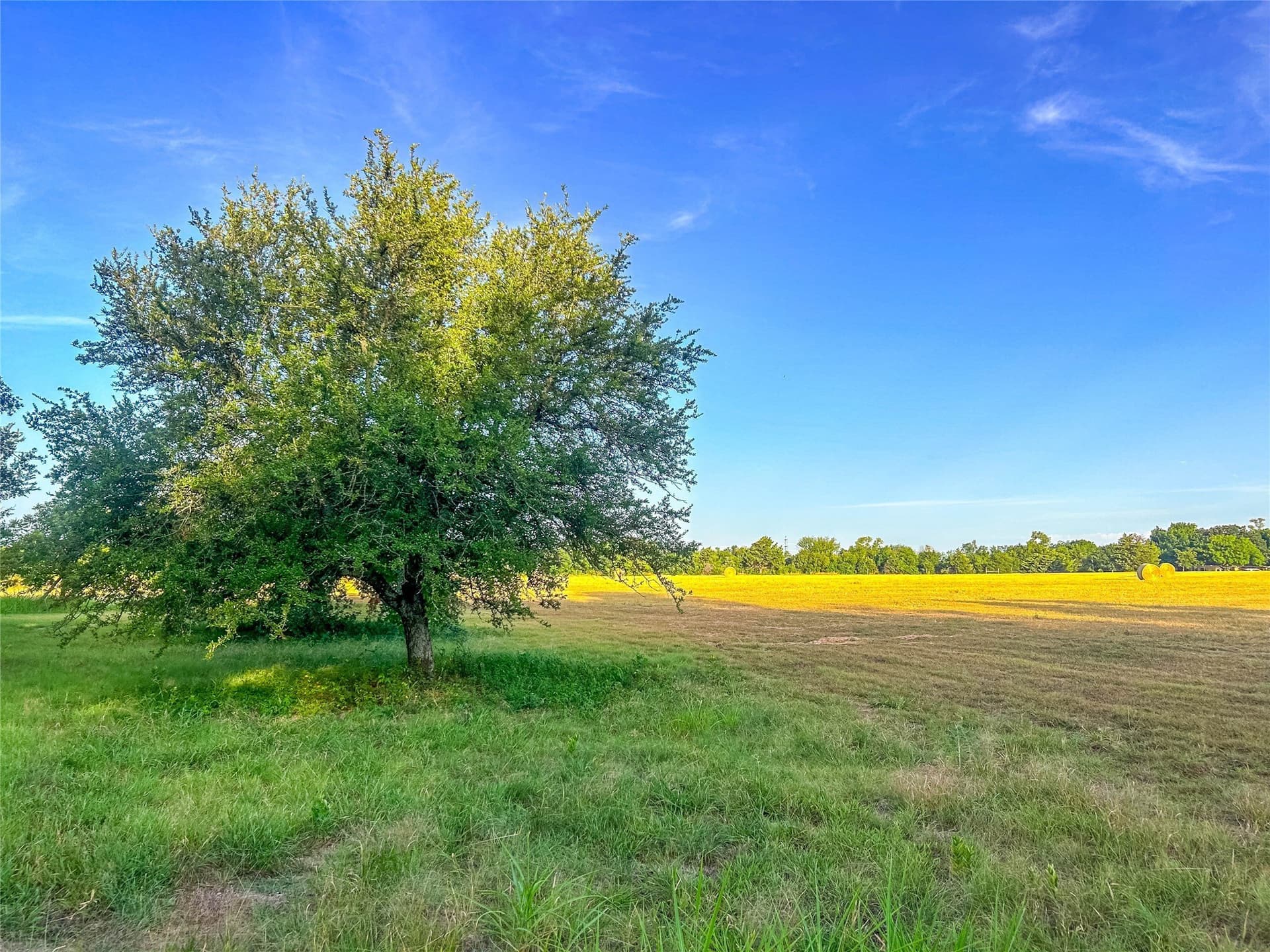 10.16 acres in Collin County - photo 17