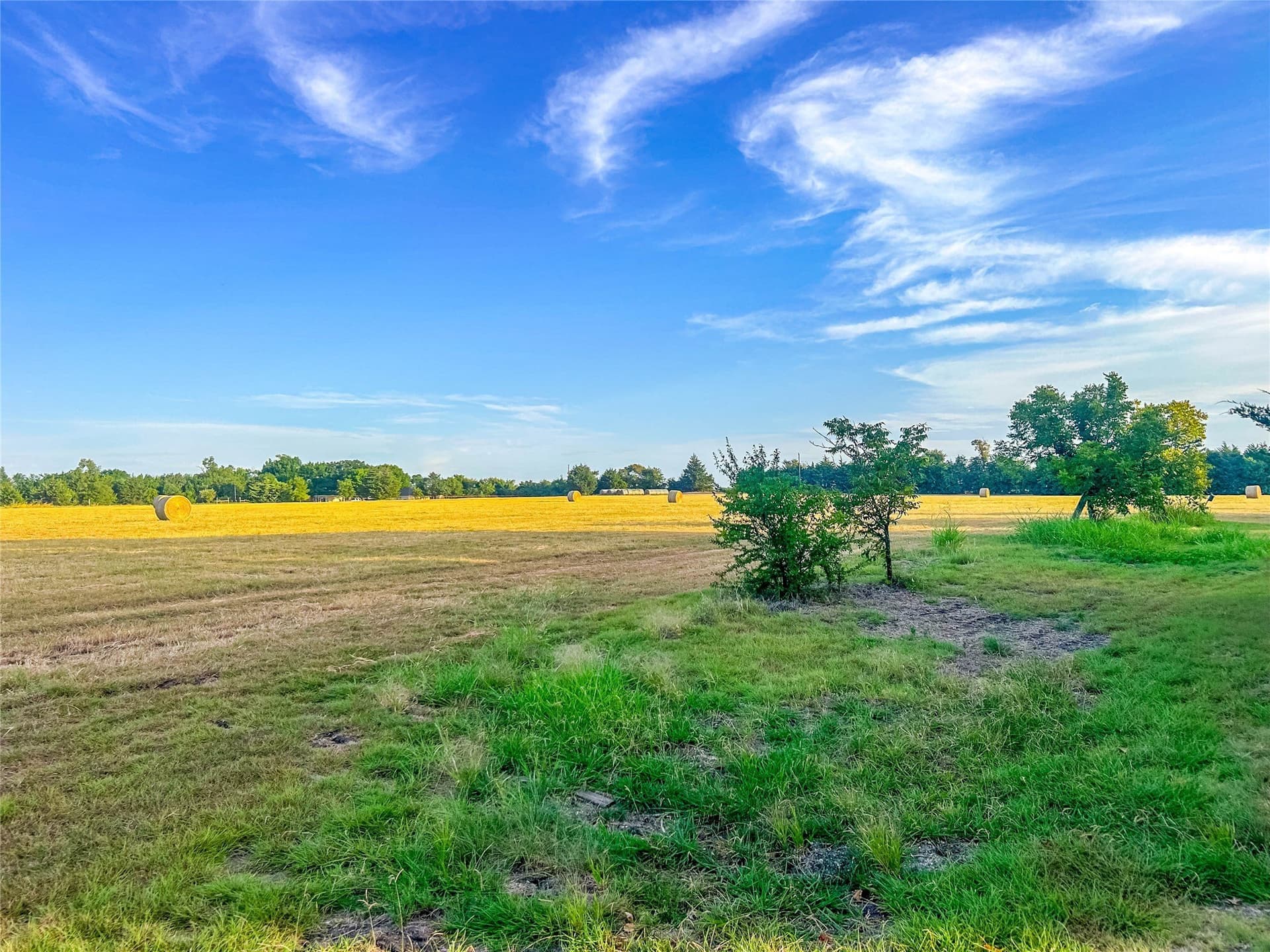 10.16 acres in Collin County - photo 16
