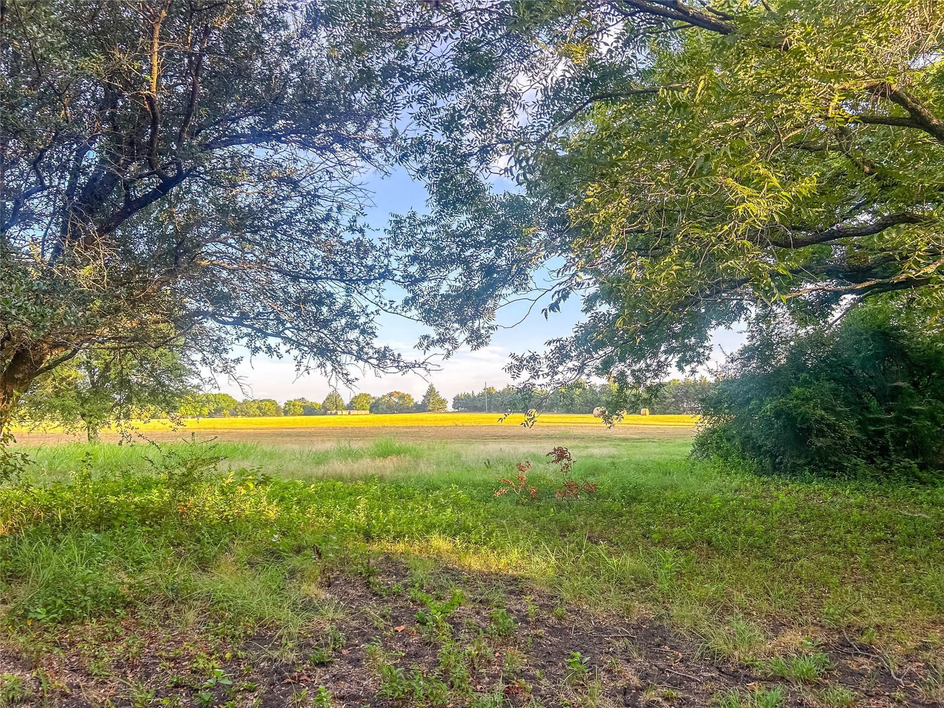 10.16 acres in Collin County - photo 20