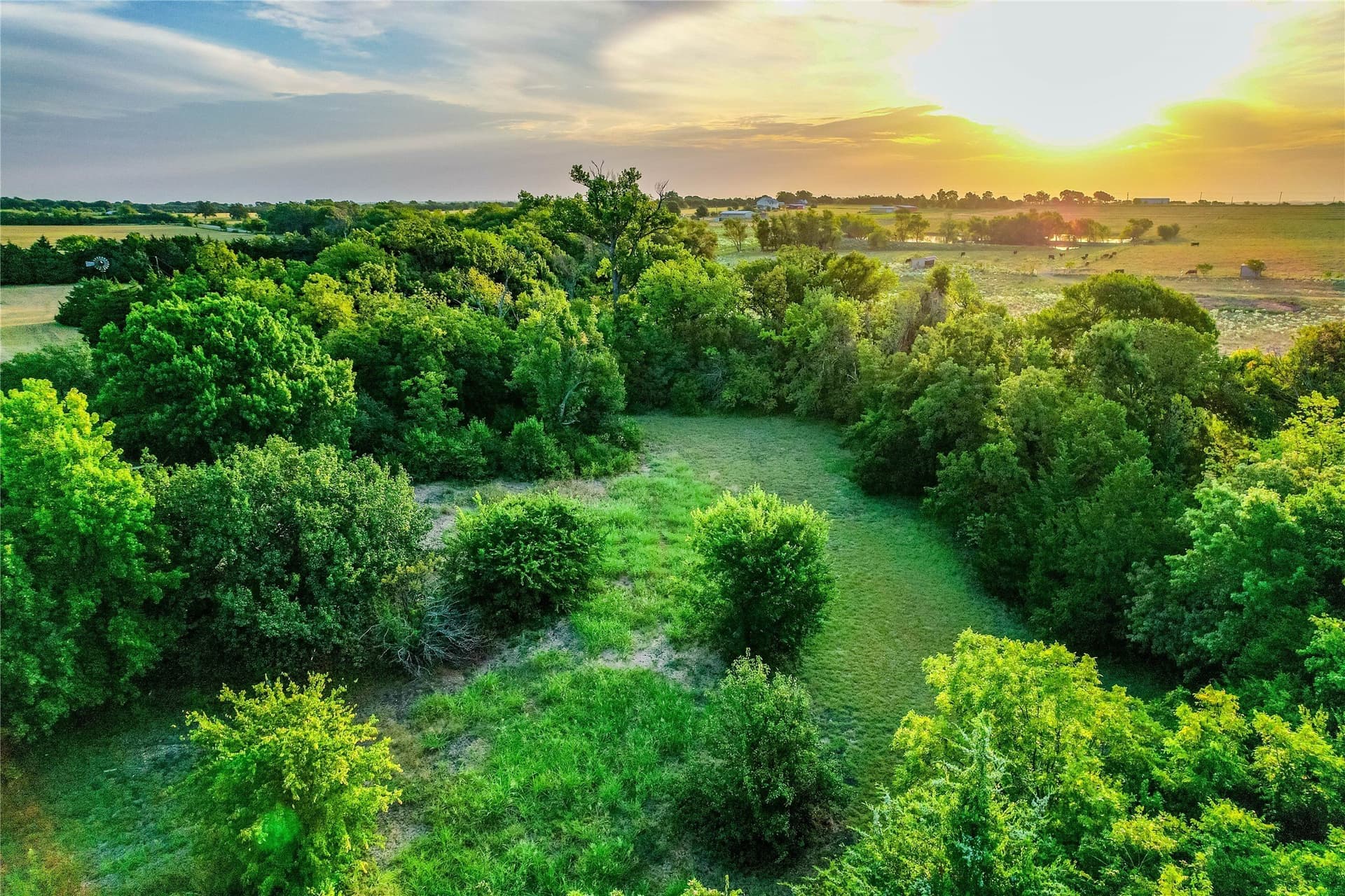 10.16 acres in Collin County - photo 5