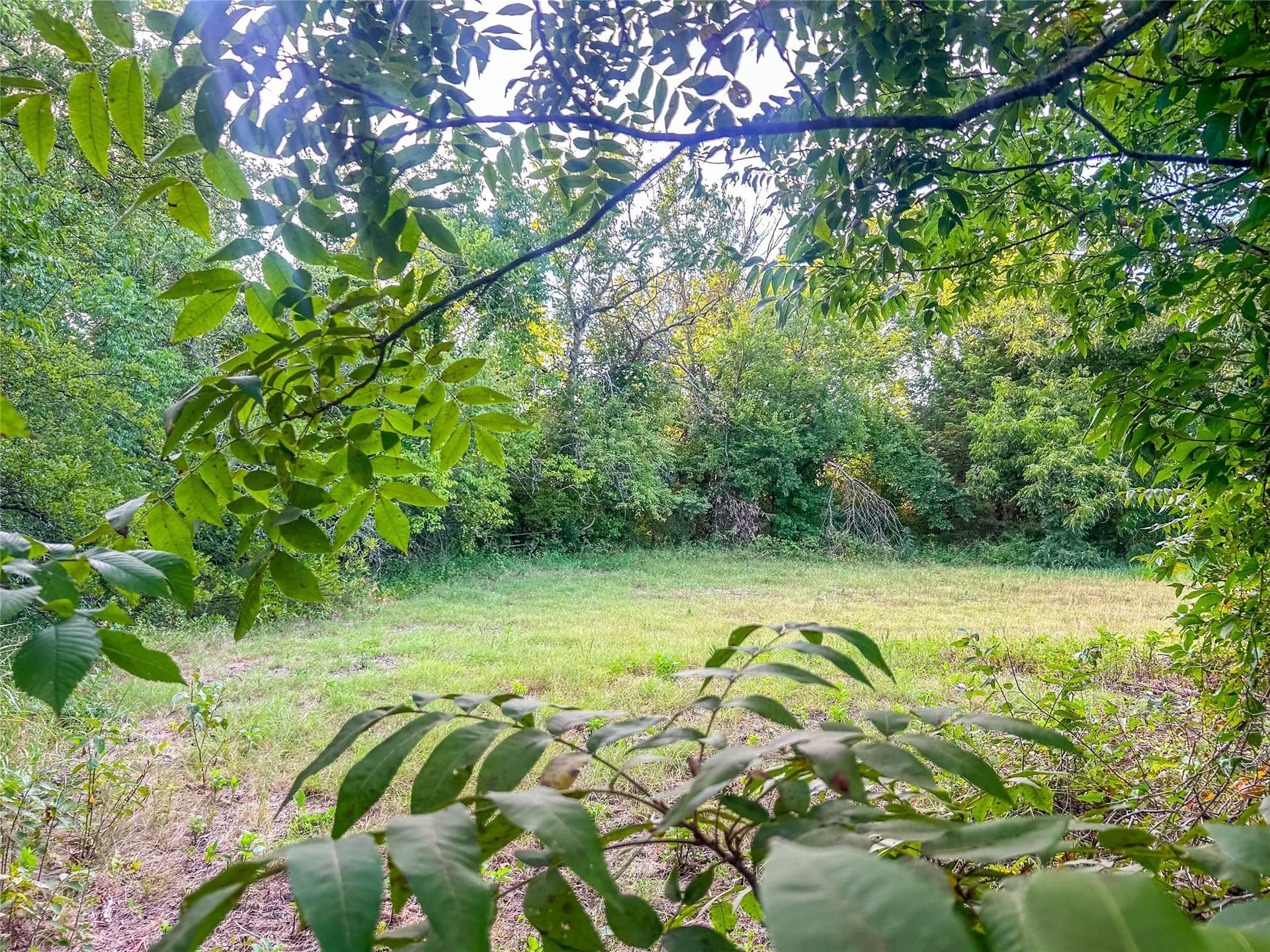 10.16 acres in Collin County - photo 34