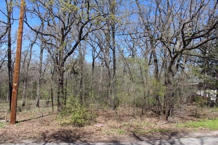 0.12 acres in Henderson County gallery image 2