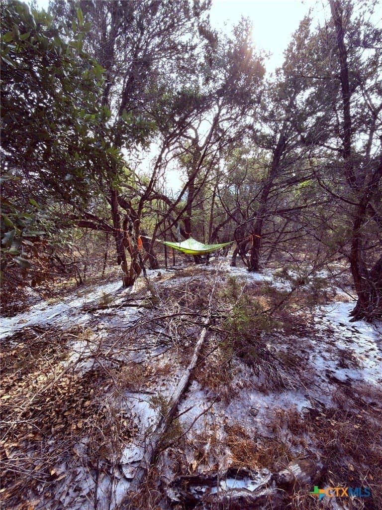 1.2 acres in Comal County - photo 4