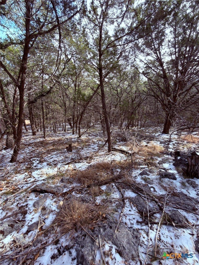 1.2 acres in Comal County - photo 3