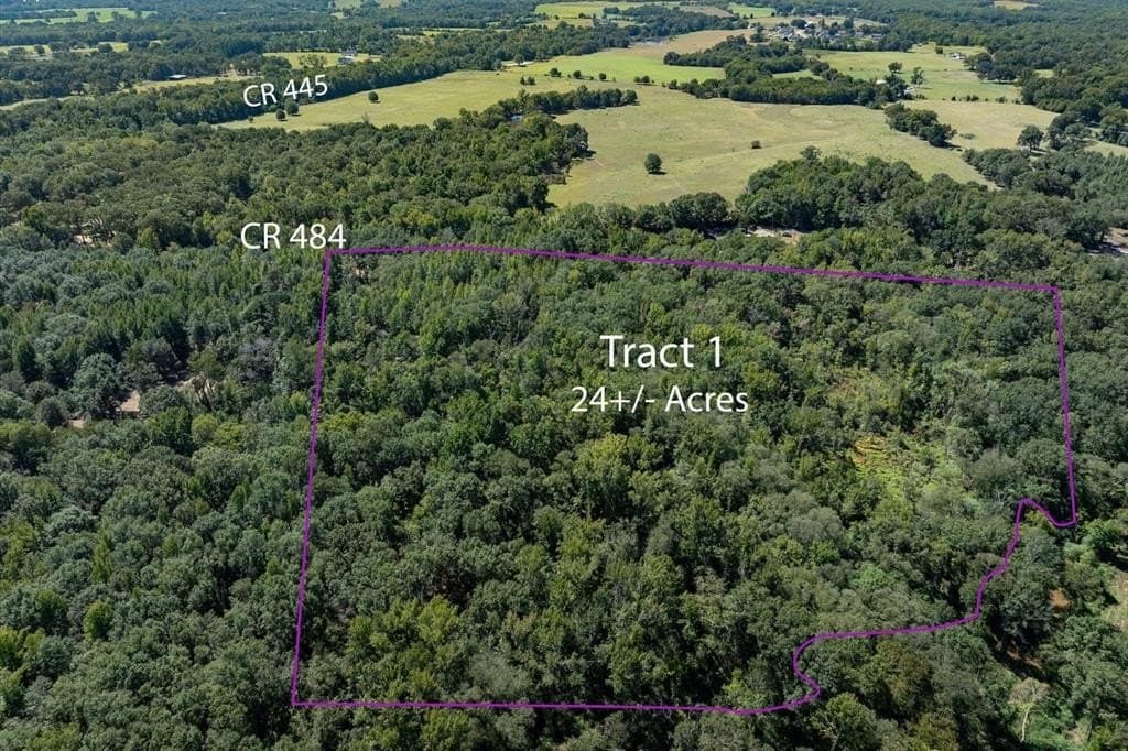 24 acres in Smith County gallery image 3